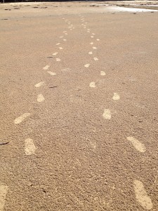 Mission Beach - Tounsville-002